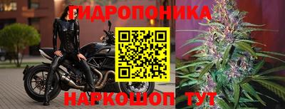 крисы Сланцы