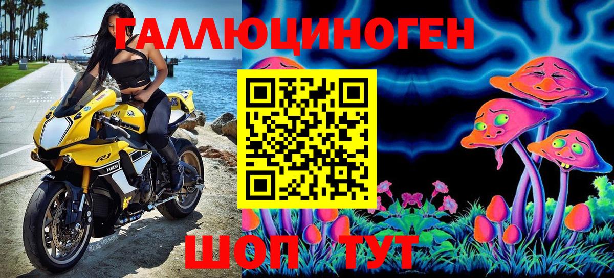 Галлюциногенные грибы Cubensis Новоалександровск